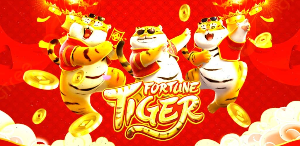 t3 pro ফিচার কার্ডের শান্ত লেআউট